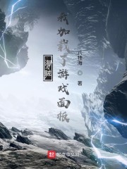 海贼:我加载了游戏面板